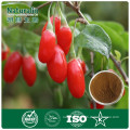 Pure Natural organic goji berry powder 30% polysaccharide for dietary supplement